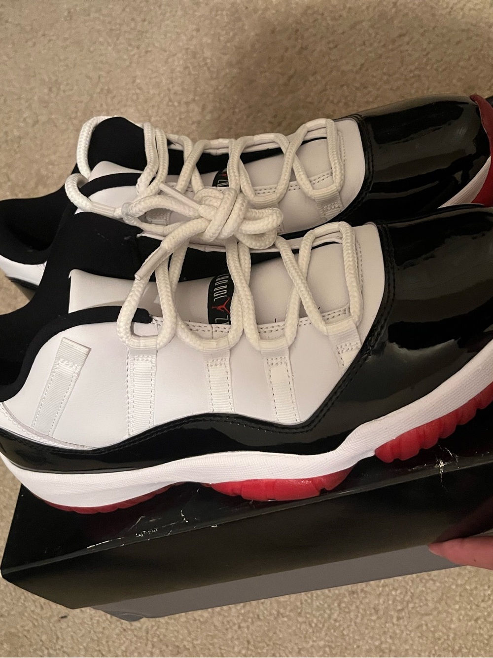 Jordan 11 concord bred